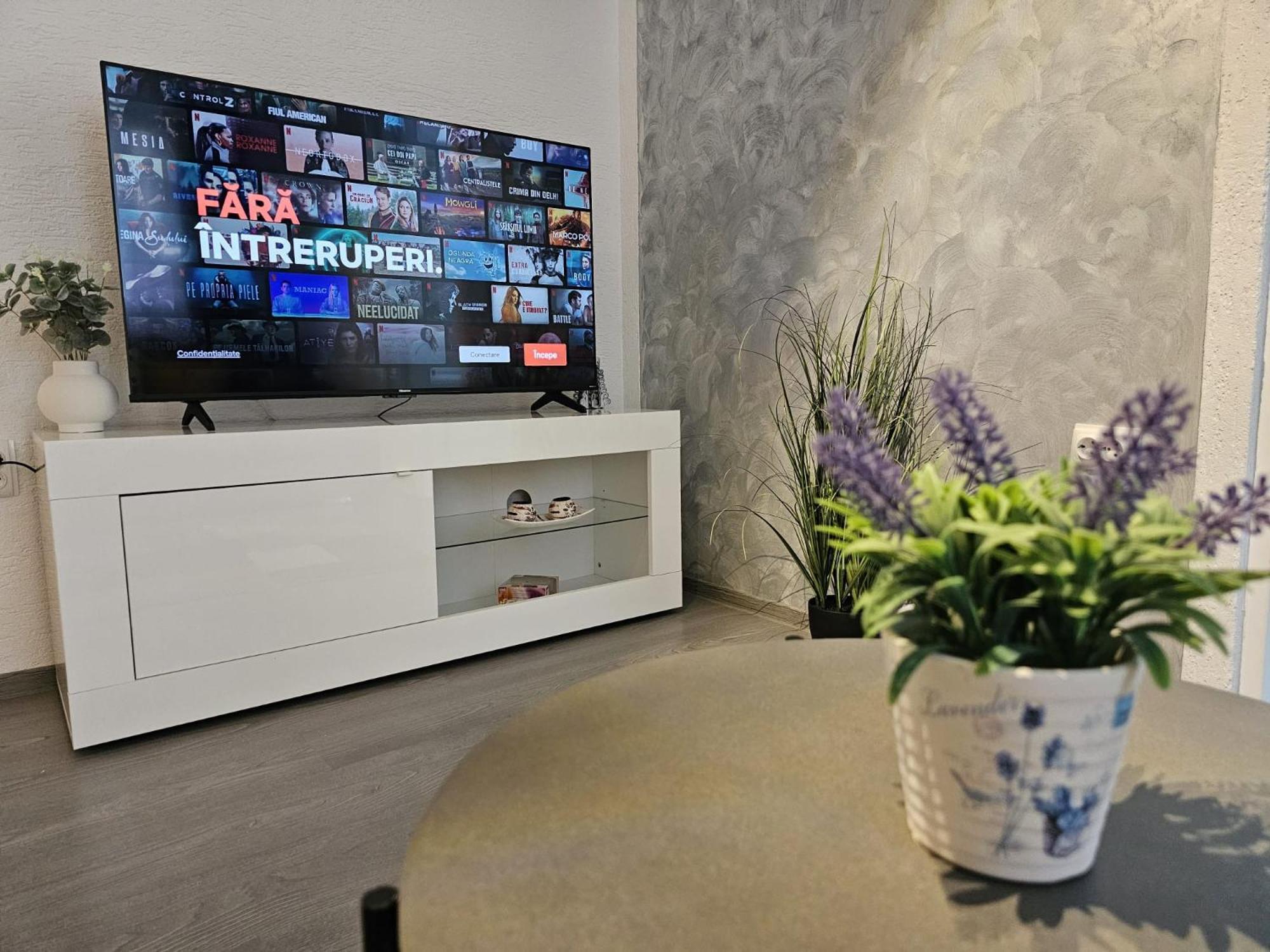 Mona Central Apartment Vajdahunyad Kültér fotó