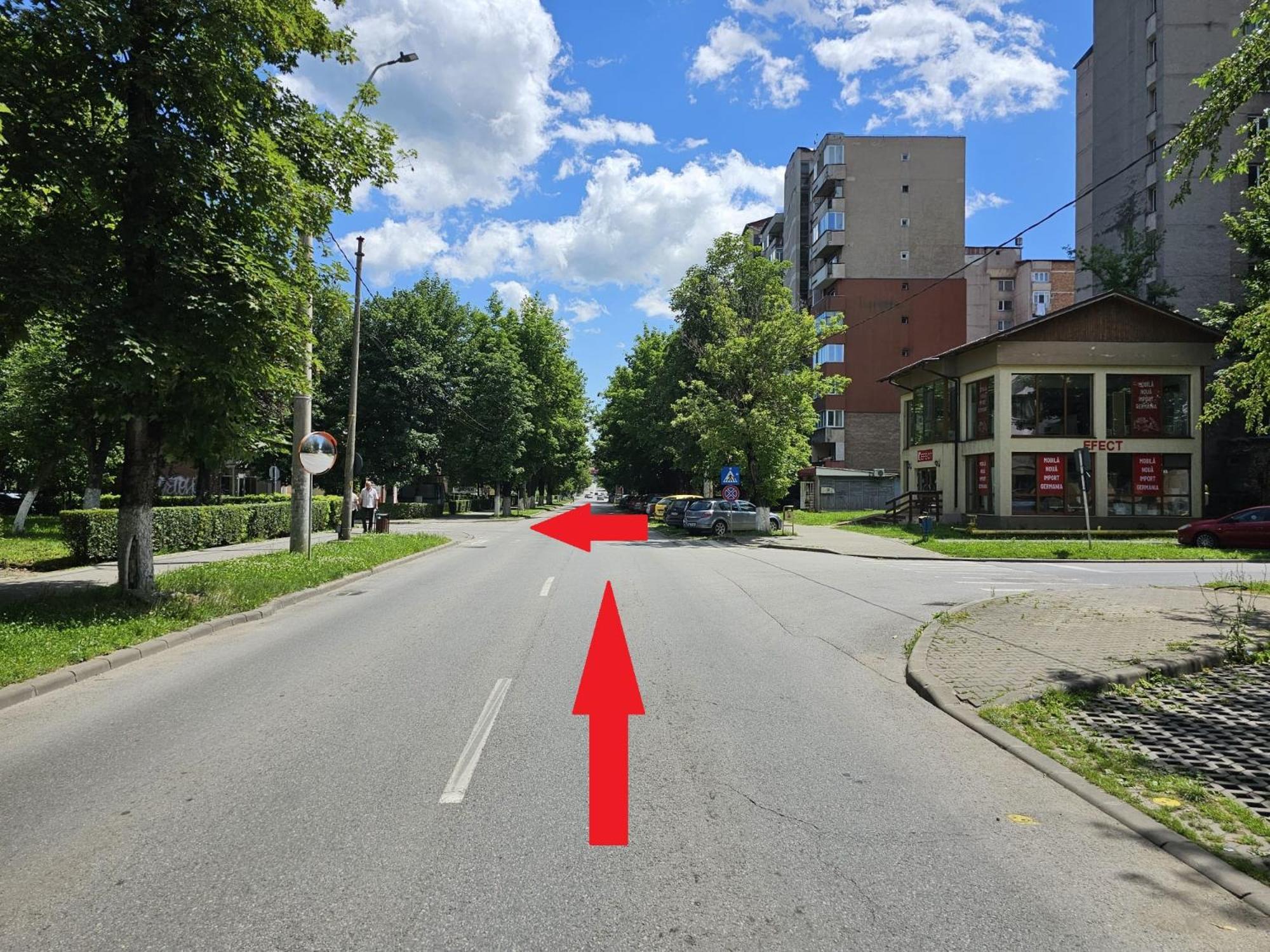 Mona Central Apartment Vajdahunyad Kültér fotó