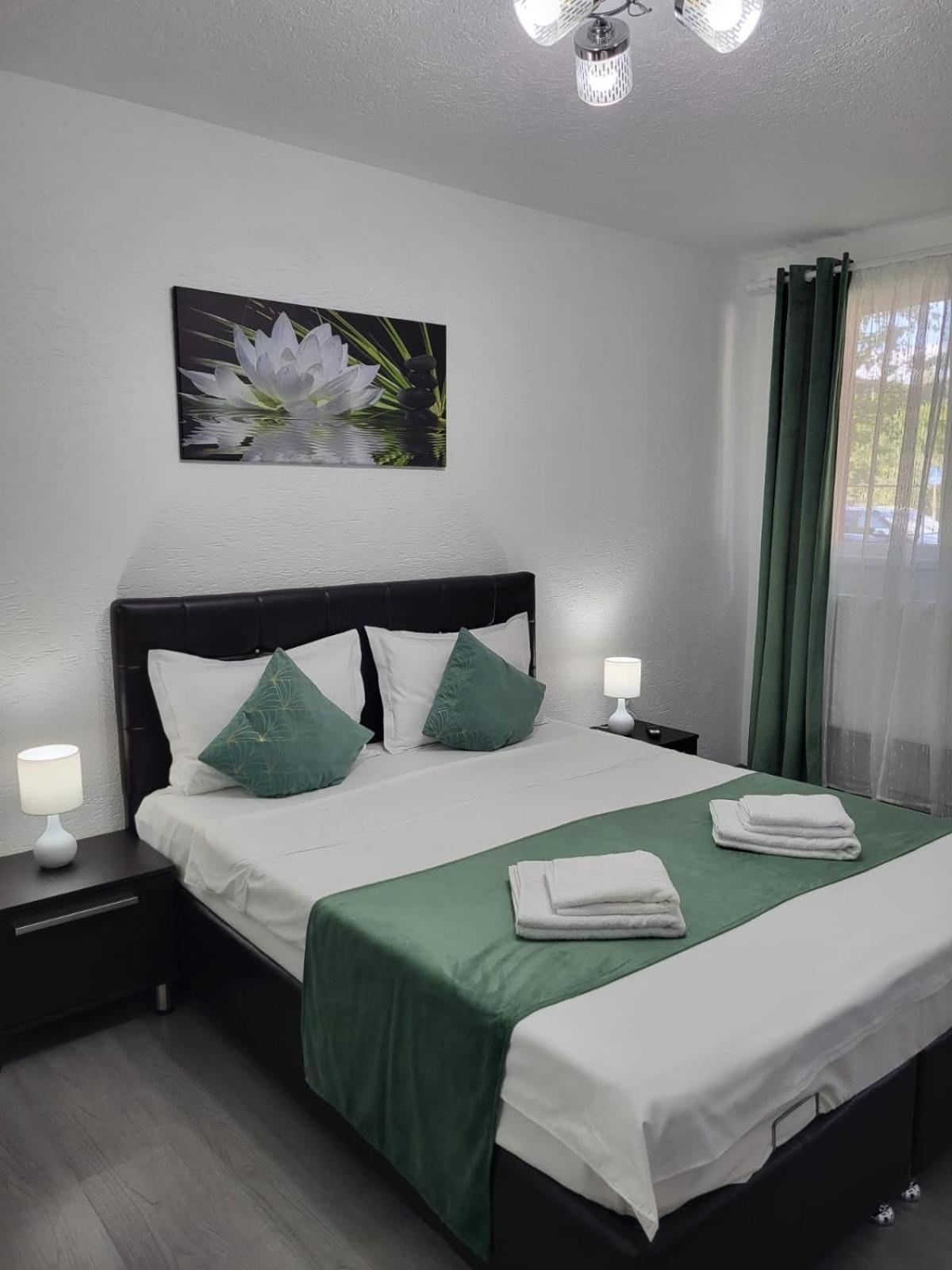 Mona Central Apartment Vajdahunyad Kültér fotó
